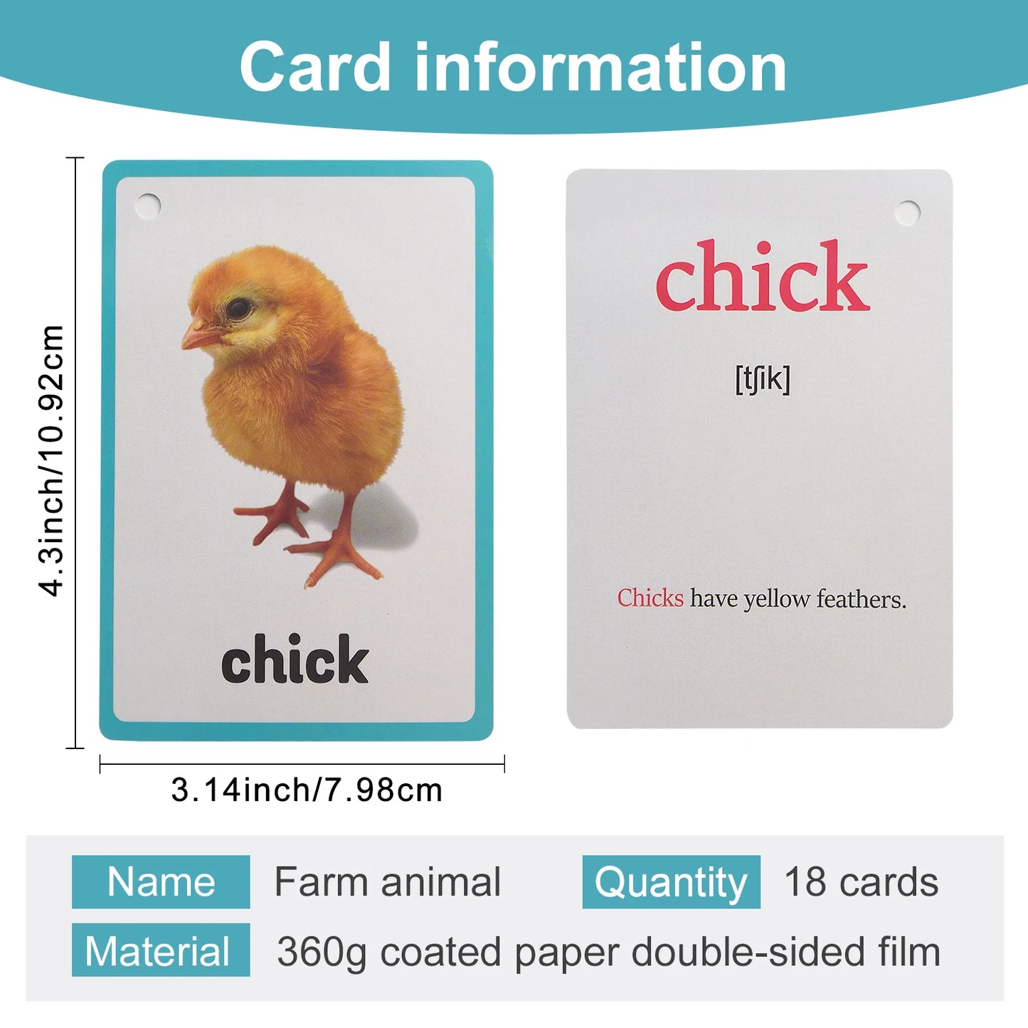 18Pcs Farm Animals Theme Educational Learning Cards Double Side